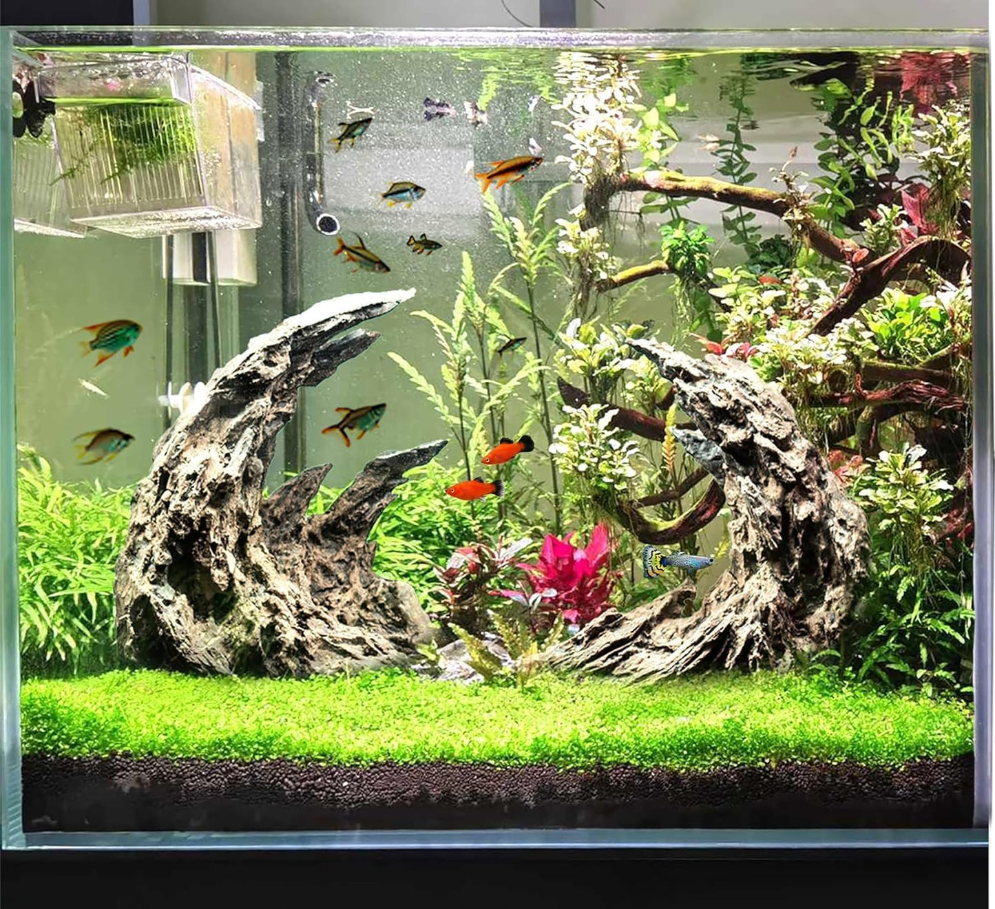 Novelsite Fish Tank Decor- Jagged Canyon Rock Formation ，Made of Solid Sandstone，Suitable for a Variety of Fish Tank Scenes, DIY Planting Moss, Safe and Non-Toxic