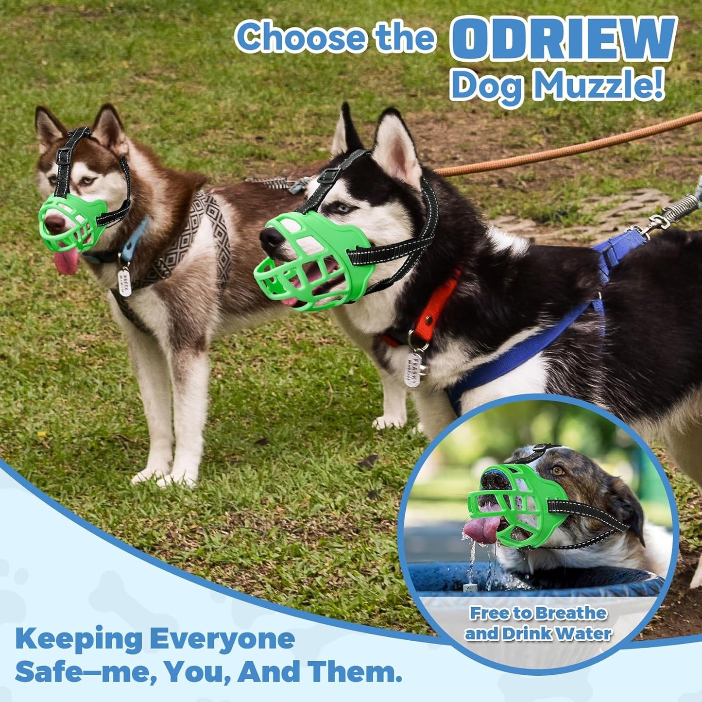 Dog Muzzle for Large Dogs, Breathable Basket Muzzles for Small, Medium and X-Large Aggressive Dog, Allows Panting Drinking, Suitable for Grooming Trimming Training (2, Luminous Green)