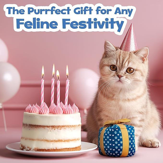 Gift Box Cat Toy – Birthday Toys with Catnip, Plush Crinkle Present for Indoor Play, for Cats