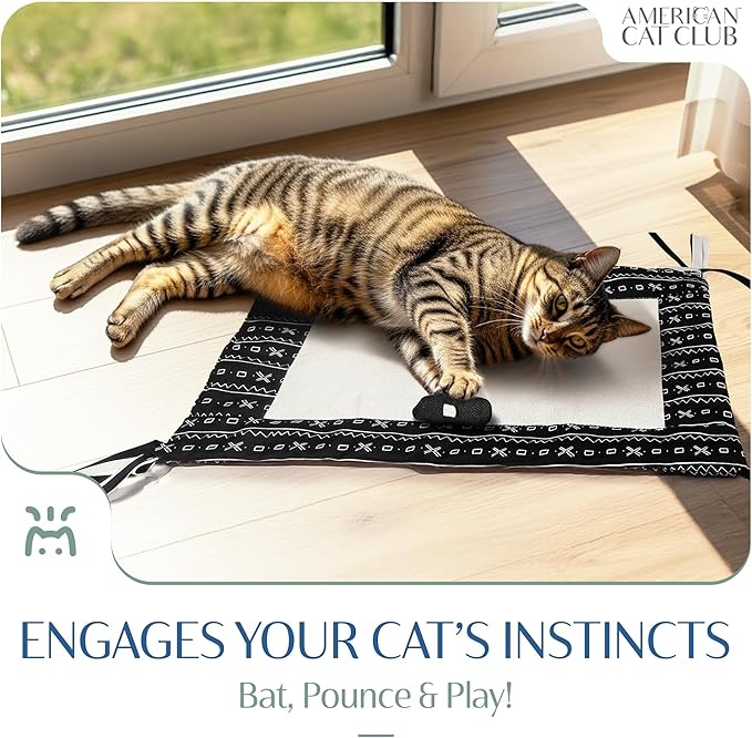 Reversible Crinkle Cat Mat with Mouse Toy – Black Mudcloth Pattern, Interactive Crinkle Play Mat for Cats, 18” x 13”