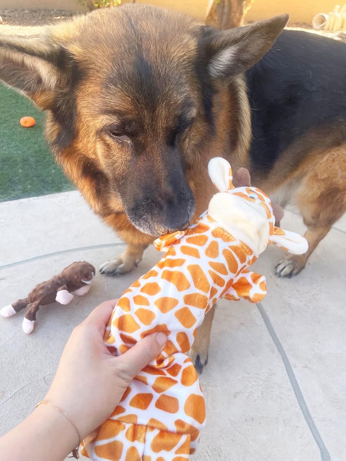 Jalousie 5 Pack Stuffingless Dog Squeaky Toys Dog Toy w/Durable Liner No Stuffing Dog Toy - Dog Toys Crinkle Paper Squeaker Toy for Medium Large Dogs (5 Pack - w/Bottle Insert Pouch)