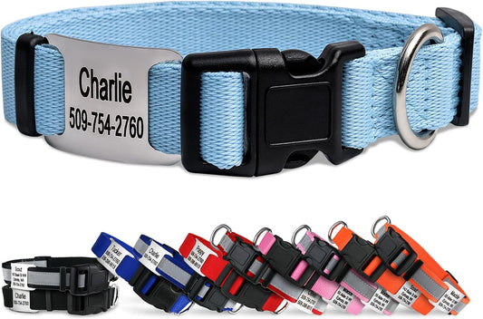 GoTags Personalized Dog Collar with Nameplate, Adjustable Dog Collar with Custom Engraved Slide On Pet ID Tag in Stainless Steel, Silent, No Noise Dog Tag (Light Blue, X-Small)