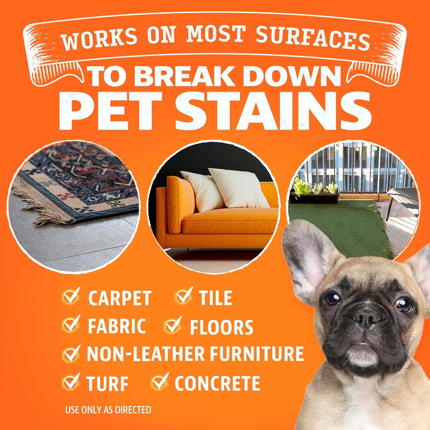 ANGRY ORANGE Pet Stain Remover for Dog Urine and Stains - Enzyme Cleaner - Citrus - Value 2 pack