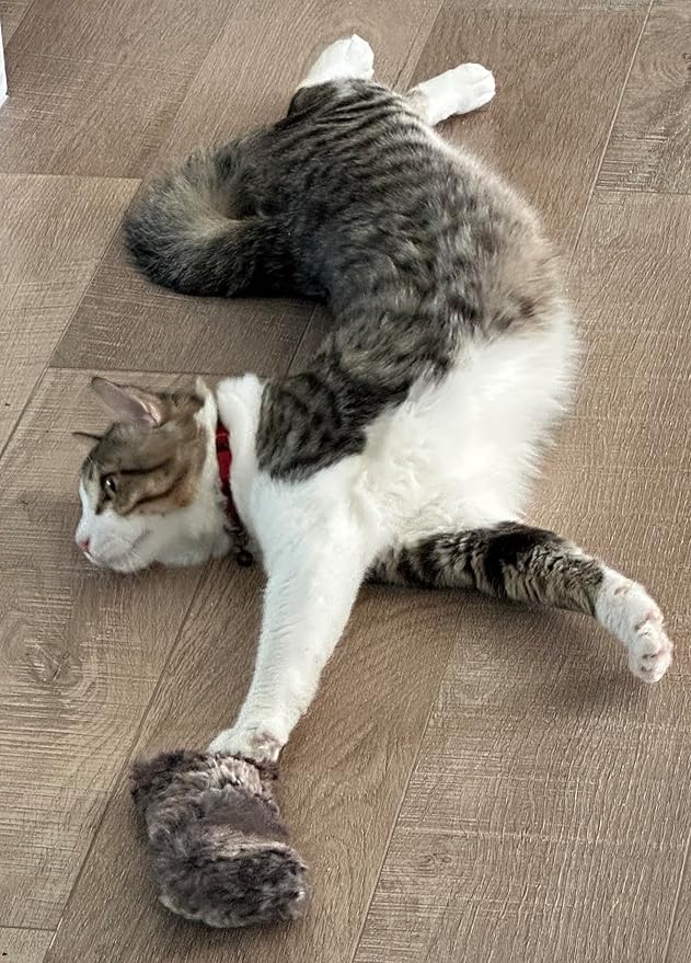 Refillable Kitty Crinkle Furry Catnip Toy