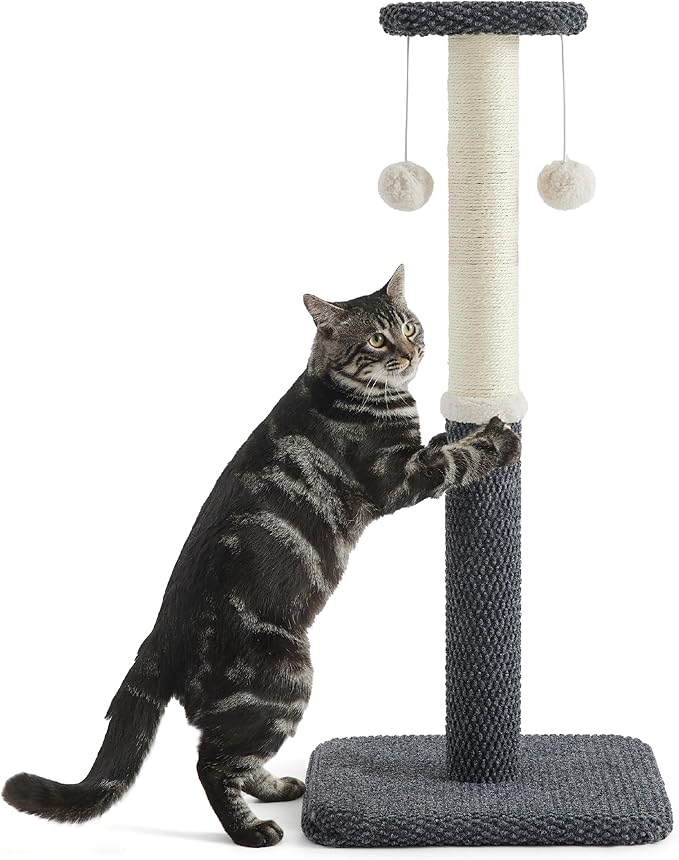 Lesure 34" Tall Cat Scratching Post - Highly Resistant Carpet Scratch Post, Premium Sisal Rope Scratch Posts Kitten and Adult Cats, Sturdy Large Scratch Pole with Hanging Ball, Grey