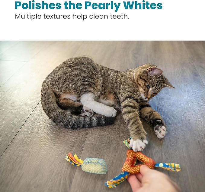 Petstages Dental Health Chews Pair