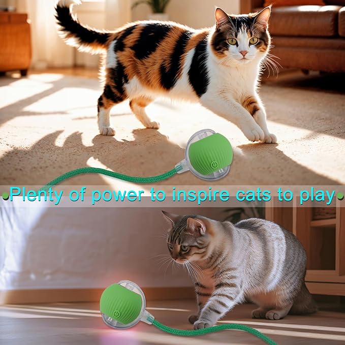 Interactive Cat Dog Toy Ball: Indoor Small Automatic Moving Smart Rolling Fun Pet Game with Led Light and String Tail for Motion Activated, Cute Kitten Puppy Present, Exercise Wheel Supplies (Green)