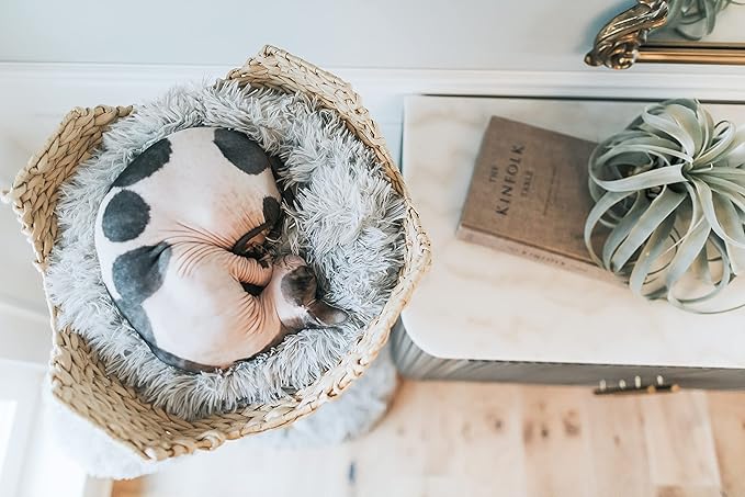 Wooden Cat Tree Tower, Modern Single Branch Cat Condo, Wood Cat Tree, Cat Climbing, Furniture for Cat, Cat Lover Gift, Cat Furniture,Cat Gift by MAU LIFESTYLE (Bullet Gray)