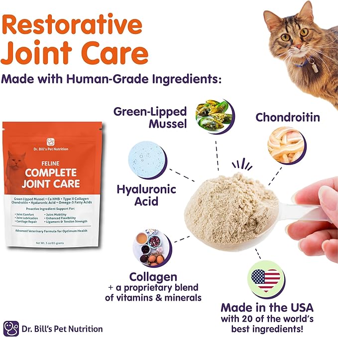 Dr. Bill’s Feline Complete Joint Care | Advanced Hip & Joint Supplement for Cats | Green Lipped Mussel Extract, Collagen Type II, Chondroitin, Hyaluronic Acid, Omega 3 and Colostrum | Powder, 85g