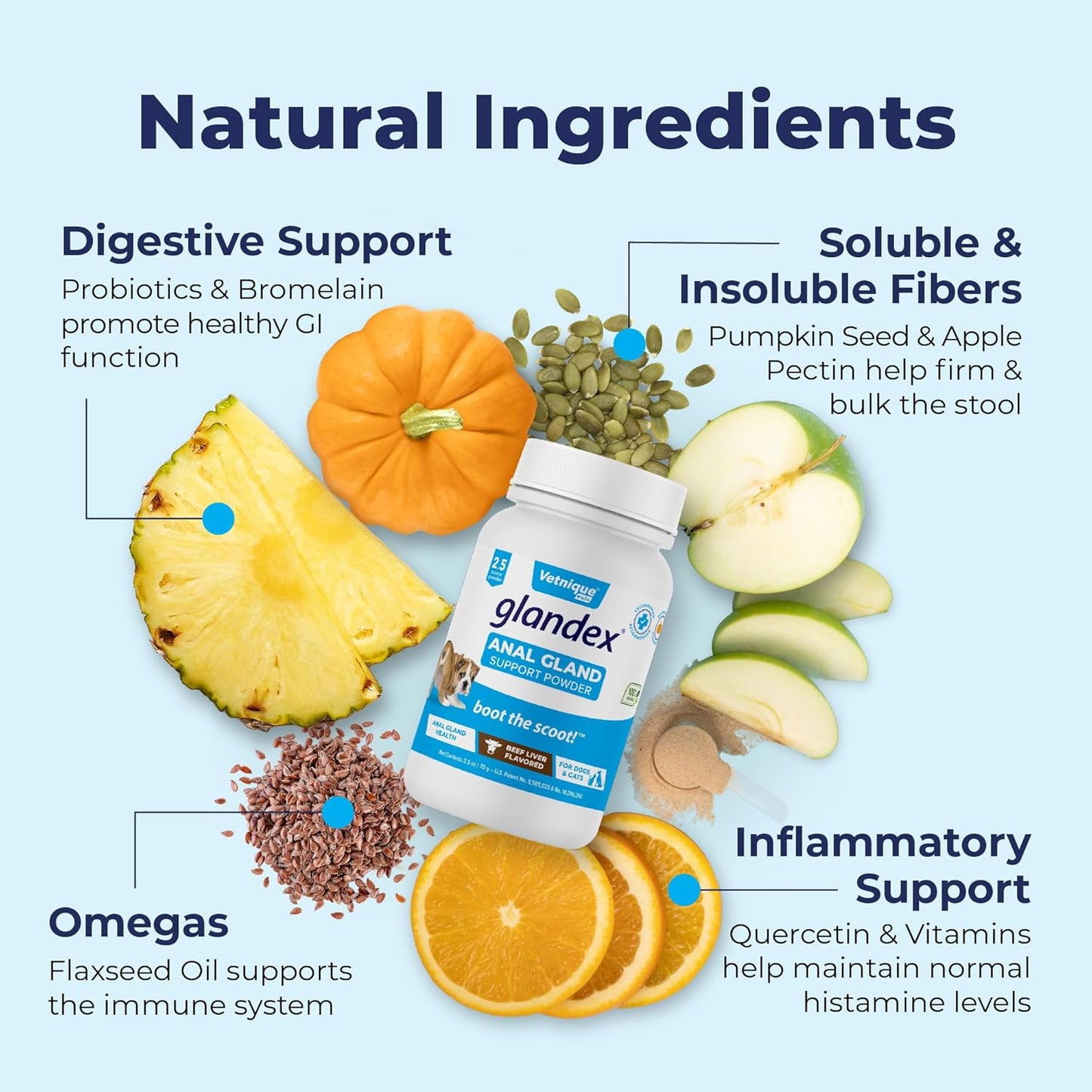 Vetnique Labs Glandex Dog Fiber Supplement Powder for Anal Glands with Pumpkin, Digestive Enzymes & Dog Probiotics for Digestive Health - Vet Recommended - Boot The Scoot (Beef Liver, 2.5oz Powder)