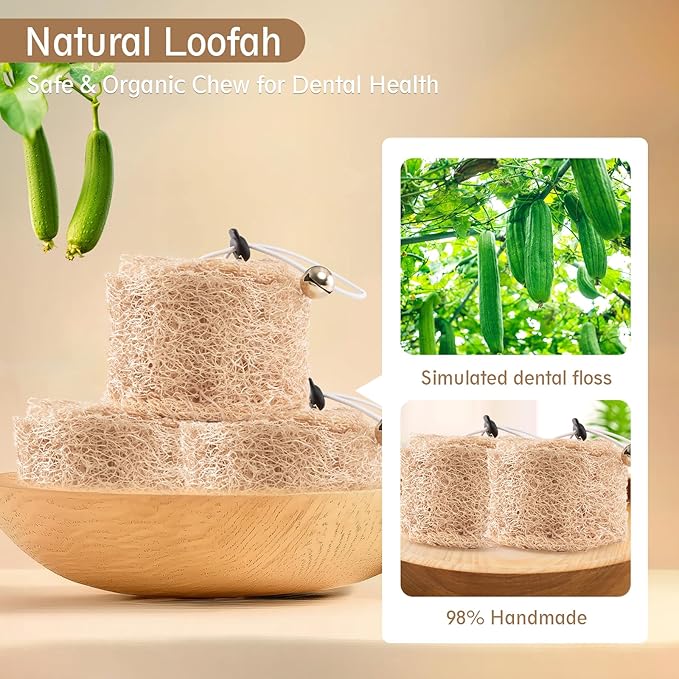 Natural Loofah Replacement Cat Toy Wand Refills, Cat Chew Toy-Handmade Gum Massage Teether w/Catnip,Teeth Cleaning Toys for Aggressive Chewers,Safe Kitten Bite Relief & Stress Relief, 2 Pack