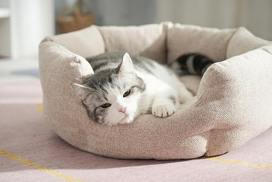 Washable Round Cat Beds for Indoor Cats,Dog Bed for Extra Small Dogs,Pet Sofa for Puppy and Kitty,Soft but Firm Year-Round Comfortable Pet Sofa with Non-Slip Bottom Beige 24 inches