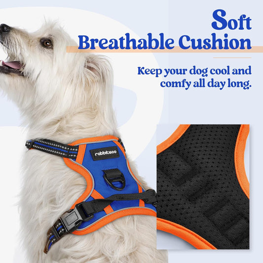 rabbitgoo Dog Harness No Pull with 2 Leash Clips, Adjustable Soft Padded, Reflective Oxford No Choke Pet Vest with Easy Control Handle for Puppy, Blue & Orange, XS