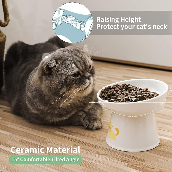 AOMRYOM Elevated Tilted Cat Bowl Set, Ceramic Feeder Bowls for Cats and Small Dog, Porcelain Raised Pet Dish, Stress Free, White, Set of 2