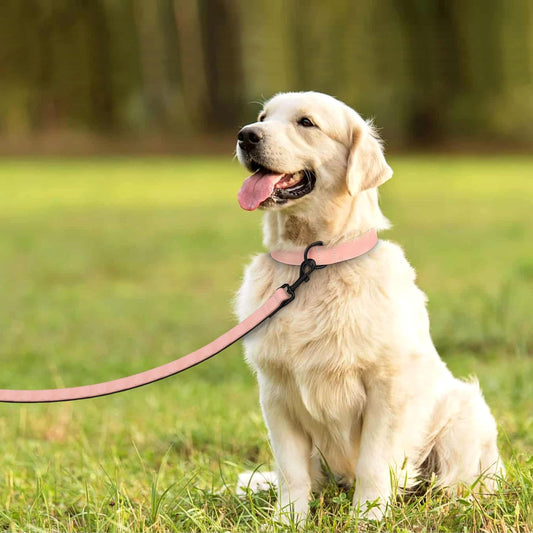 Didog Soft Padded Leather Dog Collar and Leash Set, Adjustable Pink and Breathable Pet Collars with 4FT PU Leather Dog Leash for Small Medium Large Dogs, Pink, L