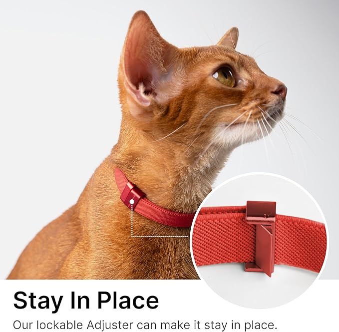 Safety Cat Collar Pro, Lightweight Elastic Release Non Breakaway Cat Collar Adjustable with Snap Fastener for Kitten All Small Large Cats, US IDA Gold Award (Monet Purple, M 7.9-15.7")