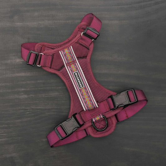 Wilderdog Lightweight Dog Harness with Reflective Straps - Small - Huckleberry