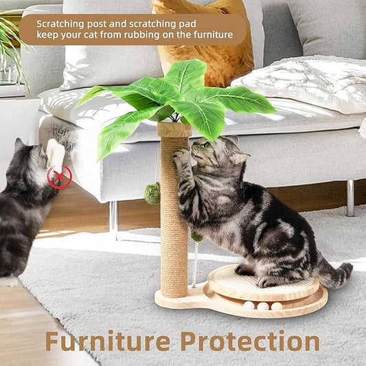 Meowoou Cat Scratching Post Cat Scratcher Interactive Toy with Dangling Ball for Indoor Kitten Large Base Wooden Ball Track 17.7" Tall Modern Sisal Scratch Pole