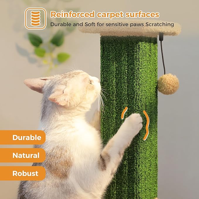 PAWZ Road Carpet Cat Scratching Post 32” Tall Scratching Post for Indoor Cats Adults Ultimate Scratch Post with Carpet, Large Base and Removable Dangling Ball- Green