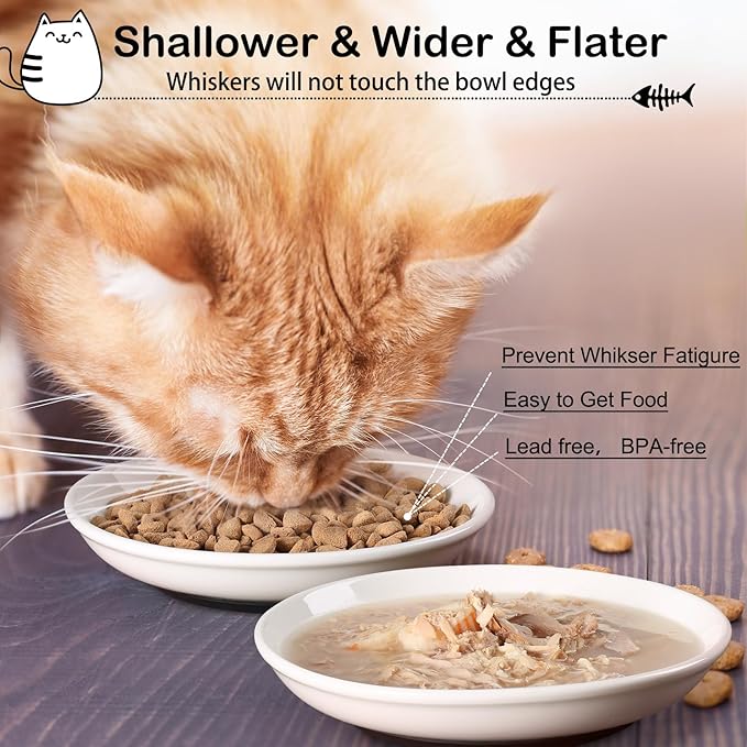 Cat Food Bowl,Healthy Ceramic Cat Bowls for Indoor Cats,Anti Whisker Fatigue Cats Dishes Set,Shallow Wide Kitten Plates for Food and Water,Non-Slip Silicone Bottom,3 Pack