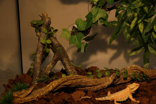 AQUA KT Reptile Corner Branch with Green Leaves Terrarium Desert Habitat Decoration for Lizard Snake Bearded Dragon Chameleon Hermit Crab Leopard Gecko Amphibian Climbing