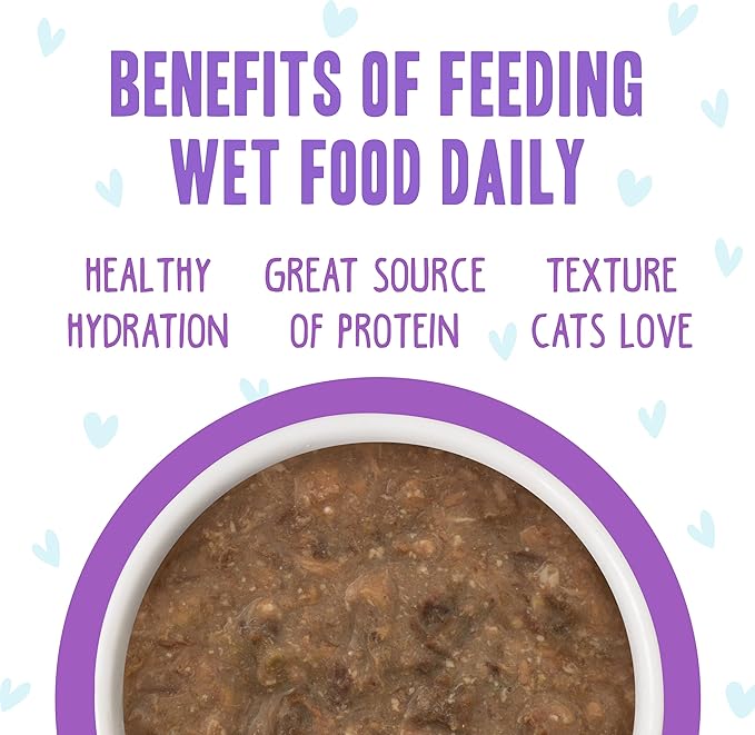 Weruva B.F.F. OMG - Best Feline Friend Oh My Gravy!, Best Day Eva! with Beef & Salmon in Gravy Cat Food, 2.8oz Can (Pack of 12)