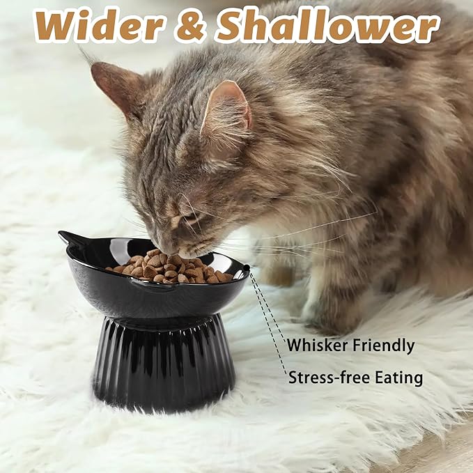 Ceramic Raised Cat Bowl，Tilted Raised Bowl Anti Vomit for Indoor Cats Whisker Friendly Pet Feeder for Cats Puppies, Microwave and Dishwasher Safe (Black)