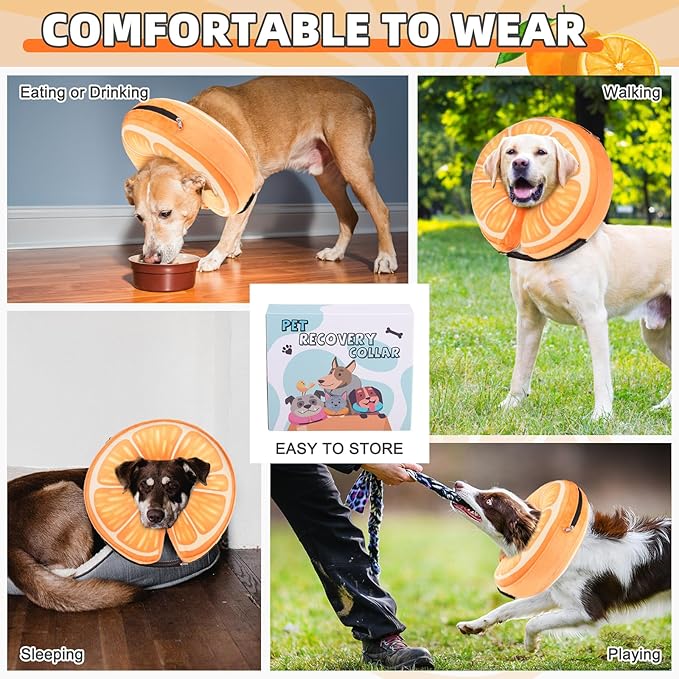 KOOLTAIL Inflatable Dog Cone Collar, Soft Dog Cone Alternative for Large Medium Small Dogs After Surgery, Cute Costume Adjustable Donut Neck Cone for Dogs Cats, Comfortable Recovery E Collar,Orange L