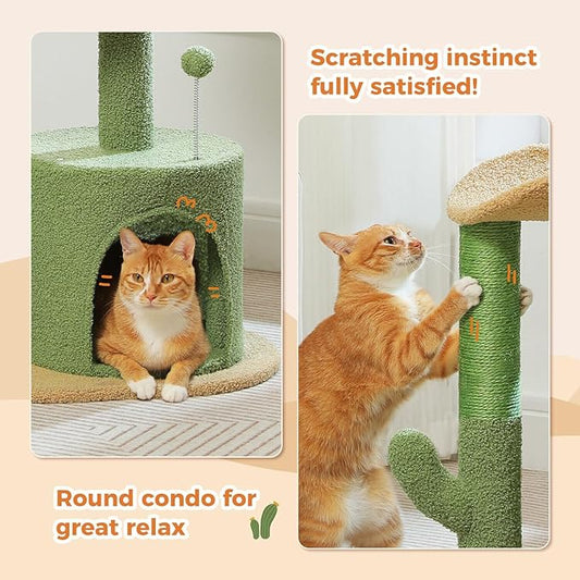 PAWZ Road Cactus Cat Tree Small Cat Tower 32” Cat Scratching Post with Curved Perch, Cozy Cat Condo, Removable Padded Top Bed for Kittens and Indoor Cats-Green