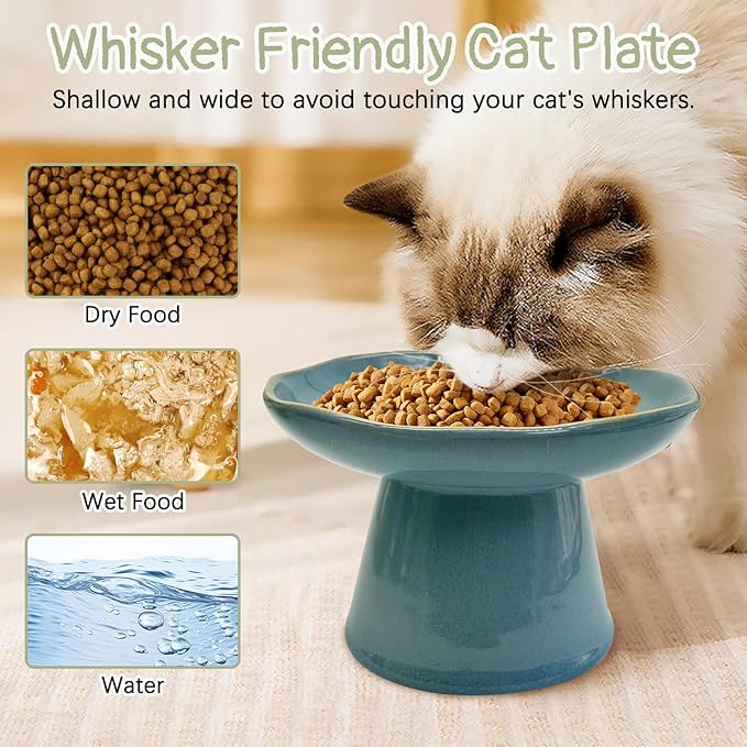VCEPJH Raised Cat Food Bowls Shallow Cat Plate Ceramic Elevated Cats Dish 6.1in Flat Anti Whisker Fatigue Wide Pet Food & Water Feeder for Indoor Kitty Kitten (Blue)
