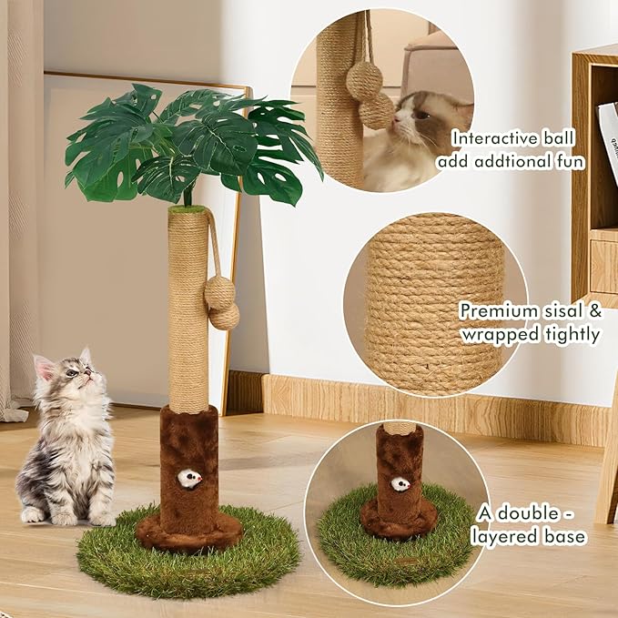 Cat Scratching Posts Cat Trees 26.4" Tall with Sisal Rope Cat Toy and Hanging Ball for Indoor,Wooden Palm Tree Cat Scratch Pole for Kitty