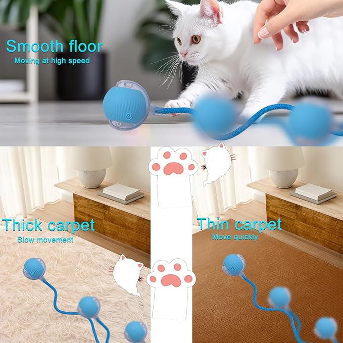 Interactive Cat Dog Toy Ball: Indoor Small Automatic Moving Smart Rolling Fun Pet Game with Led Light and String Tail for Motion Activated, Cute Kitten Puppy Present, Exercise Wheel Supplies (Blue)
