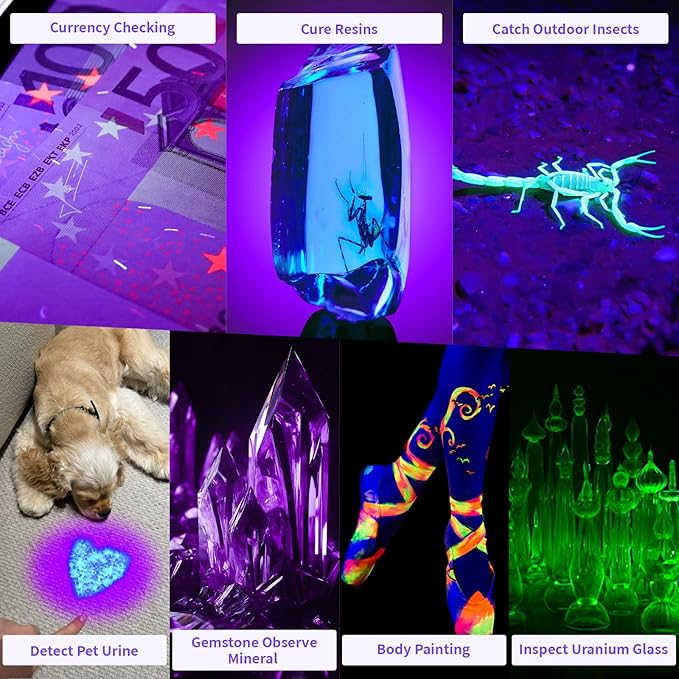 2 Pack Rechargeable Black Light, 60W 5000 mAh Dimmable UV Black Light, 100 LED 395 nM Ultraviolet Blacklight, for Dog Cat Pet Urine Stains Detection, Bed Bug, Scorpions, Bedroom, Camping, Outdoor