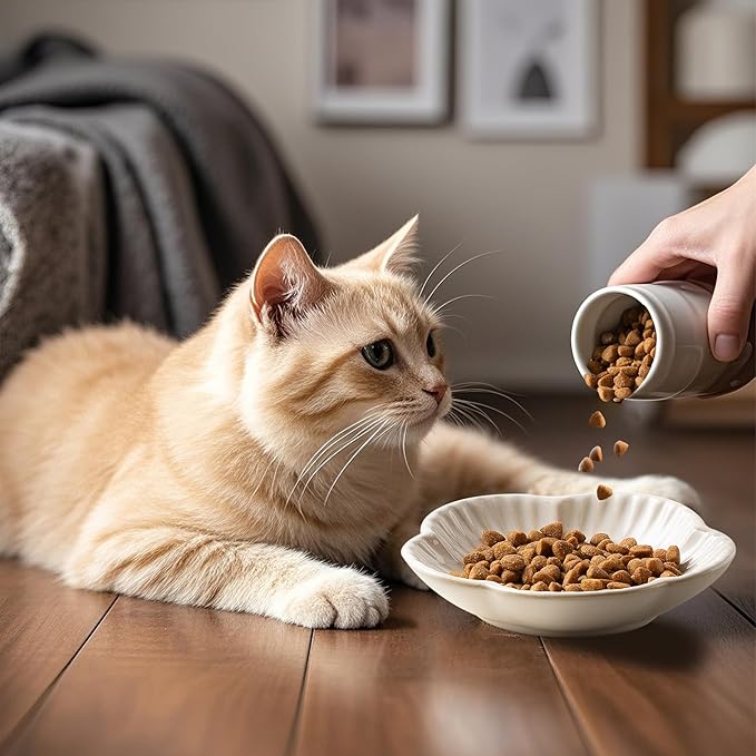 Cat Food Bowls, Ceramic Cat Plates, Dish for Food, Water and Snack, 4.72 Inch, Indoor and Outdoor Use, Kitten Puppy and Small Animals Bowls Set of 3 (White)