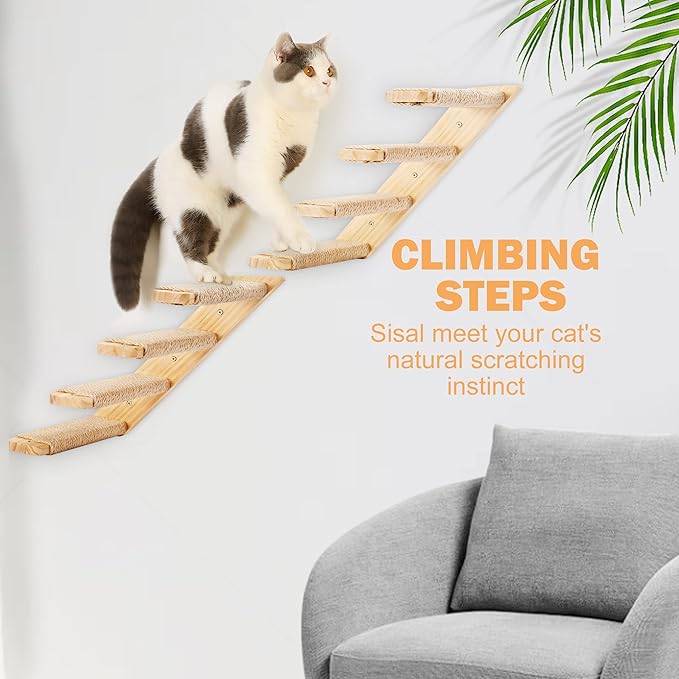 Wall Mounted 2 Pack Cat Shelf with 2 Pieces Four Steps Climber Stairs - Modern Cat Wall Furniture for Climbing, Lounging, and Playing - Perfect Hammock for Indoor Cats or Kitty