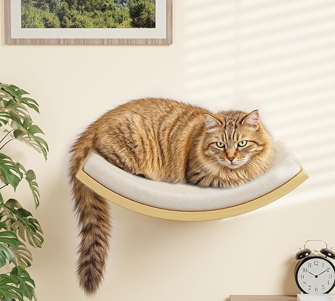 Cat Wall Shelves and Cats Window Perch – Natural Wood 4-Piece Set with Foam-Padded Curved Bed and Felt Steps, Space-Saving Wall Mounted Design