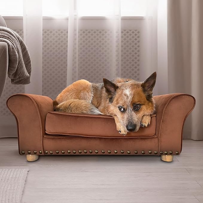 Critter Sitters 34-in. Faux Velvet Sofa in Brown for Medium-Sized Dogs and Cats, Durable and Stylish Dog Bed for Bedroom and Living Room