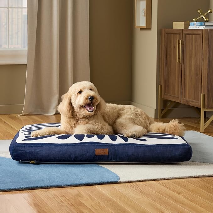 TOWN & COUNTRY LUXE CuddleTown Matisse Everwash® Pillow Pet Bed, Water Repellent Floor Pillow, Machine Washable Cover, Soft & Calming, Green, Large 44"x34"x4"