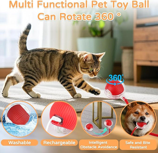 2025 New 3Pack Cat Ball Kitten Toys for Indoor Interactive Kitty Ball Toy Speedy Tail 360° Automatic Rolling(Red Grey Green)