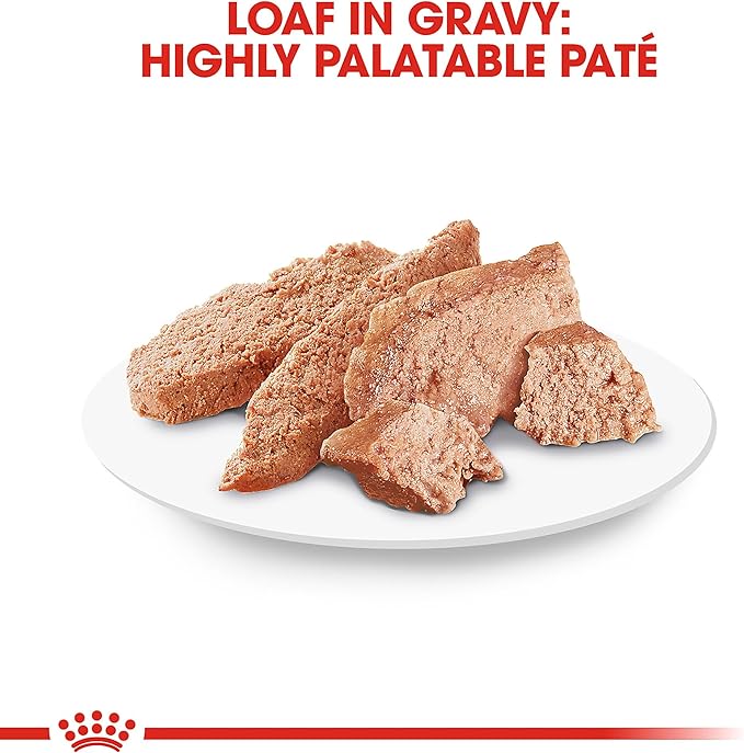 Royal Canin Persian Adult Breed Specific Loaf in Sauce Adult Wet Cat Food, 3 oz can (6-Pack)