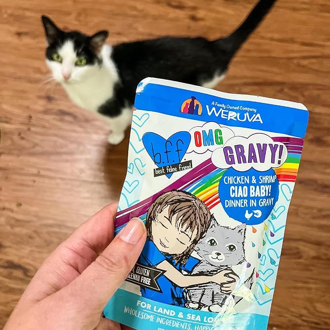 Weruva B.F.F. OMG - Best Feline Friend Oh My Gravy!, Date Nite! with Duck & Salmon in Gravy Cat Food, 2.8oz Pouch (Pack of 12)