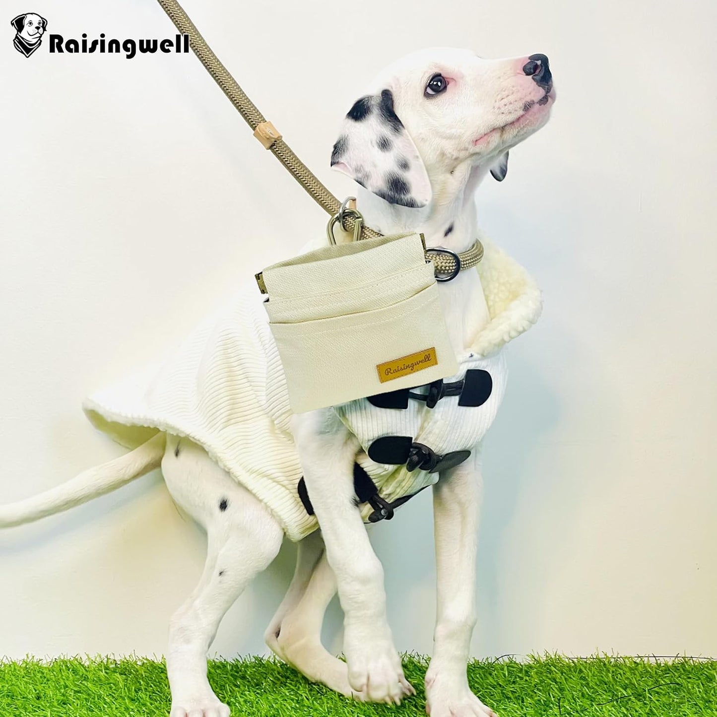 Dog Treat Pouch, Lvory Pocket Sized Pet Training Pouch, Cotton Fabric, Hand Free Dog Walking Bag with Carabiner, Self-Closing Pet Feed Snack Reward, for Puppy Travel or Outdoor Use