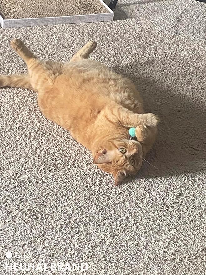 80-Pack Cat Toy Balls 10 Assorted Colors 1.25 Inch Diameter Suitable for All Cat Sizes (Cat Toys Value Pack)