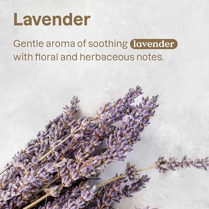 ATTITUDE Stain and Odor Remover for Pets, Plant and Mineral-Based Ingredients, Vegan and Cruelty-Free, Bulk Refill, Lavender, 67.62 Fl Oz