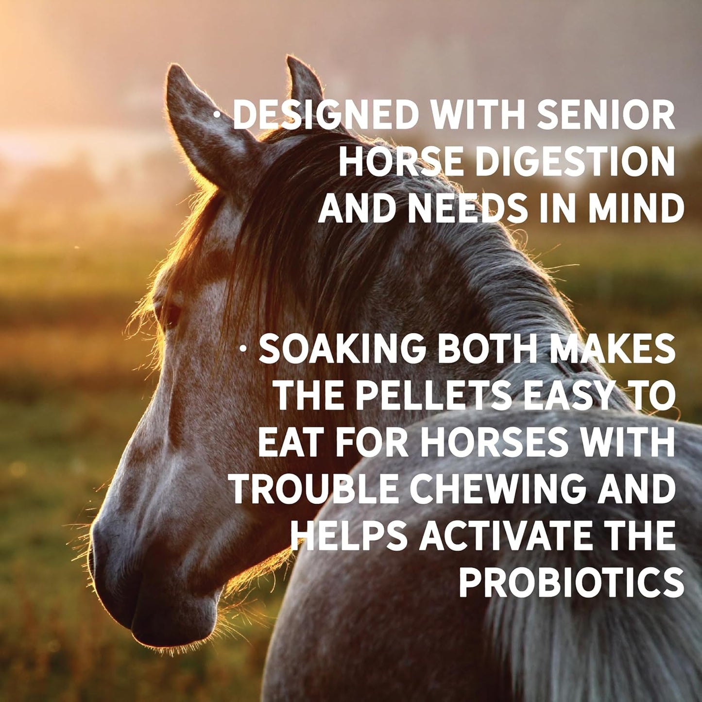 New Country Organics | Loyalty Senior Horse Pellets for Horses 15+ Years Old | Corn-Free and Soy-Free | 16% Protein | Certified Organic and Non-GMO | Nutrition for Senior Horses 40 lbs | Grain Feed