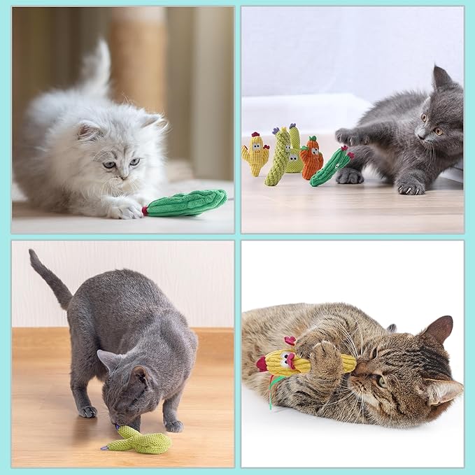5 Pack Cactus Catnip Toys, 100% Pure Organic Catnip Filled Toys for Indoor Cats, Interactive Plush Chew Fun Without Cotton, Teething Soft Pet Toys for Kittens Kitty