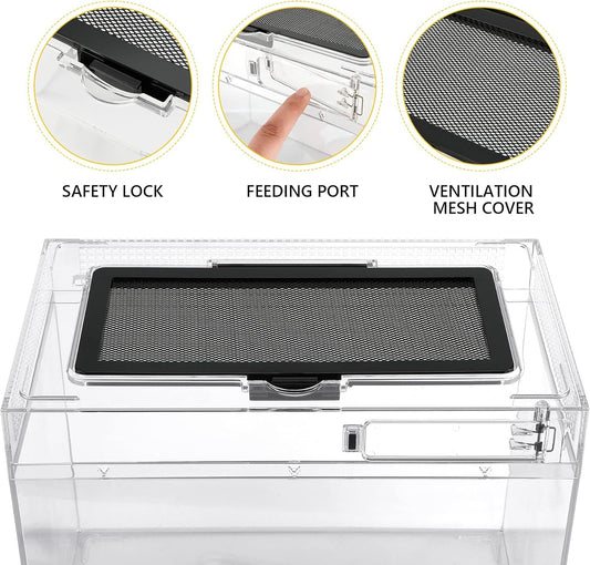 Reptile PC Terrarium Amphibian Tank Spider Enclosure Snake Cage 7x11.8x5.9inch Suitable for breeding Leopard Gecko,Frog,Hermit Crab,Lizards,Isopod,Tarantula,Turtles,Chameleons,Jumping Spiders