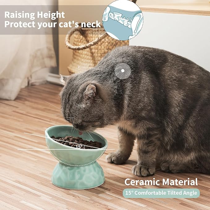 OMAYKEY Ceramic Raised Cat Bowls, Tilted Elevated Cat Food and Water Bowl Set, Porcelain Stress Free Pet Feeder Dish for Cats and Small Dogs, Dishwasher and Microwave Safe,Green, Set of 2
