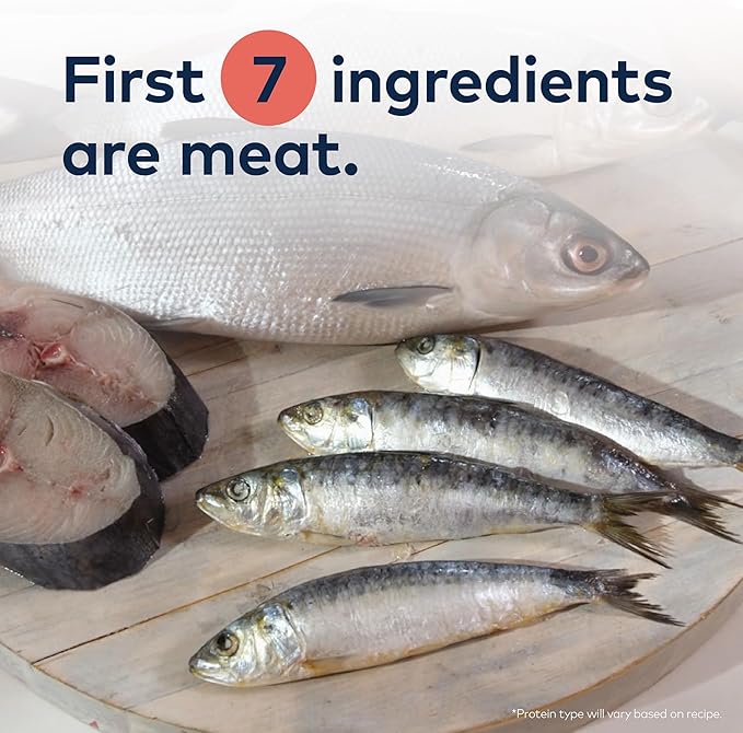 ZIWI Peak Steam & Dried Cat Food – Wild South Pacific Fish - High Protein, Skin & Coat Health, Low Carb, for All Life Stages (28.8oz)