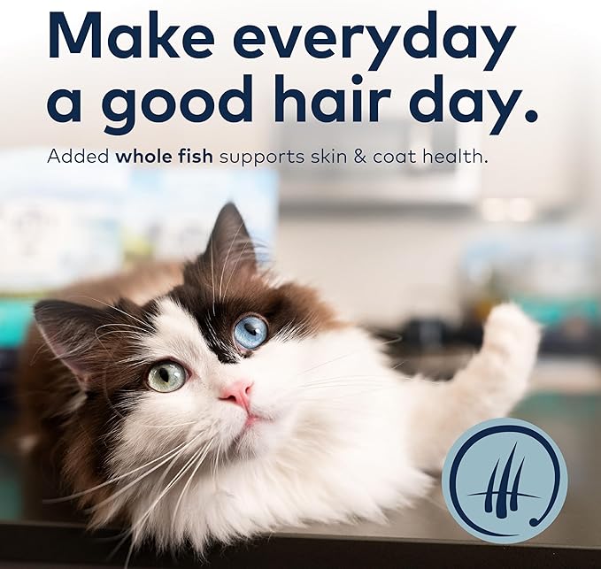 ZIWI Peak Steam & Dried Cat Food – Cage-Free Chicken w/Whole Mackerel - High Protein, Skin & Coat Health, Low Carb, for All Life Stages (78.4oz)